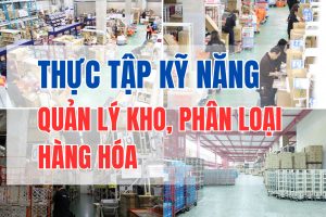 Quản lý kho, phân loại hàng hóa